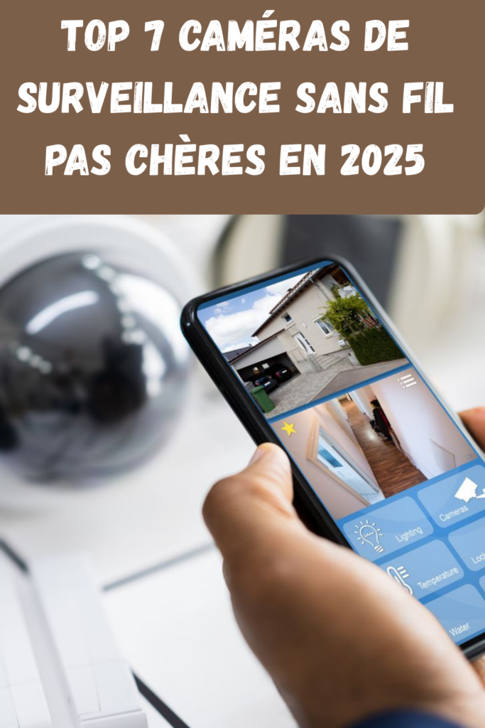 plantes purifiantes d’intérieur solutions simples pour un air plus sain (1)