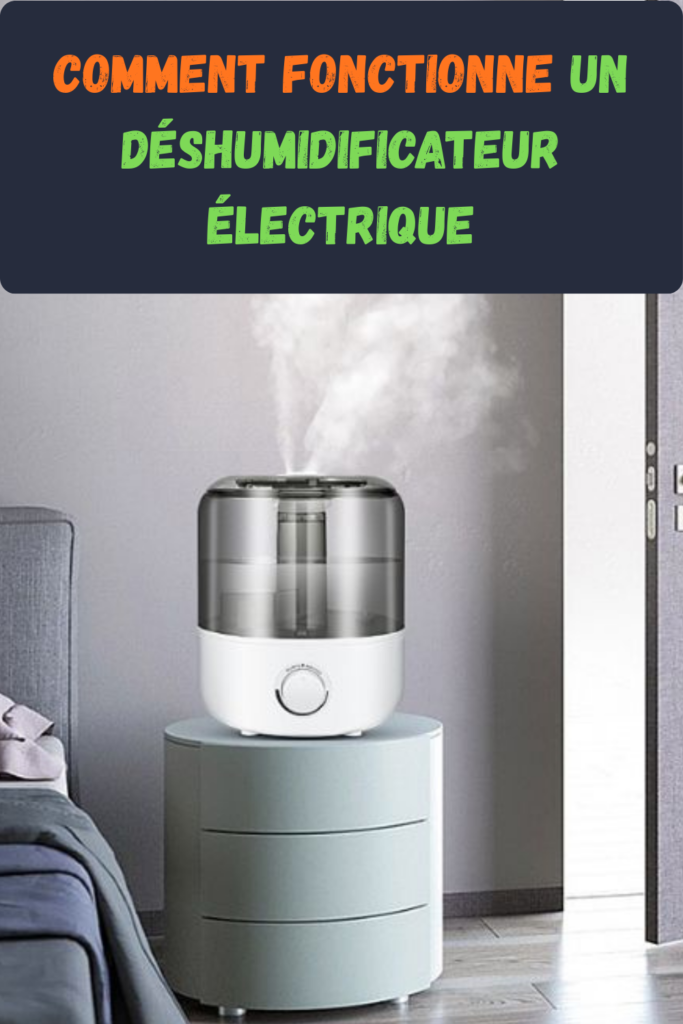 maison verte comment transformer votre habitat facilement (1)