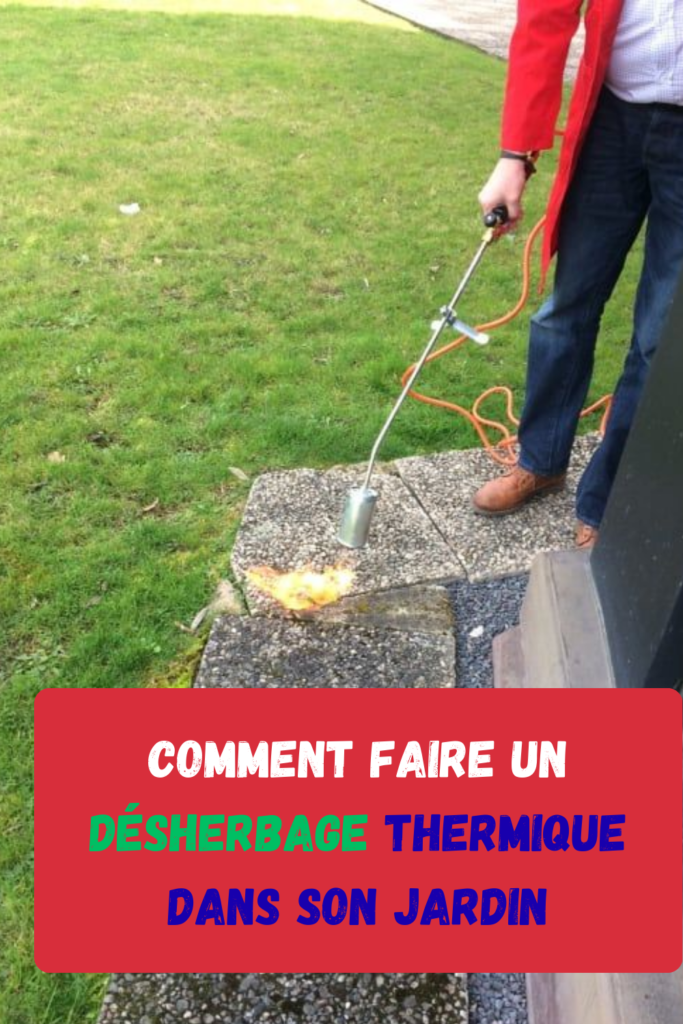 sac déchet vert comment bien choisir pour votre jardin (2)